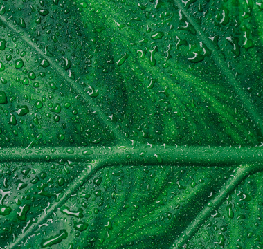 6 Easy Ways to Make Your Morning More Environmentally Friendly