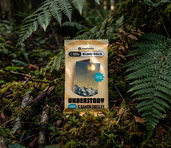 Blind Collection Series 2 Revealed: Damon Sheeley's Understory Lands September 4
