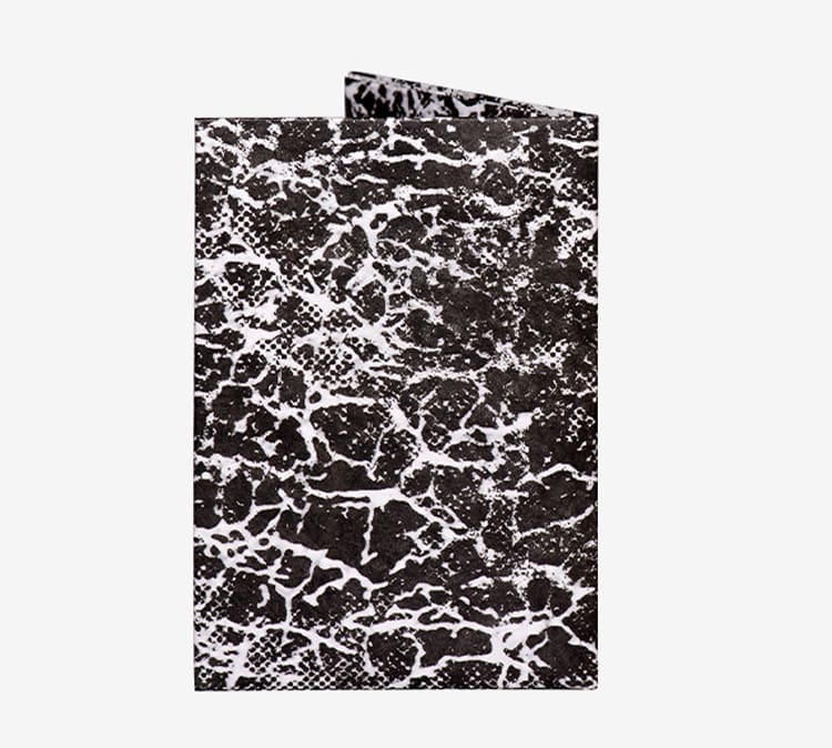 Neural Network