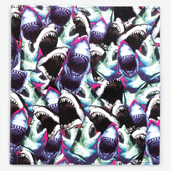 Clutch Wallet Shark Feed