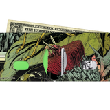 Slim Wallet Bush Cricket - Open Wallet Inside Design with cards and cash