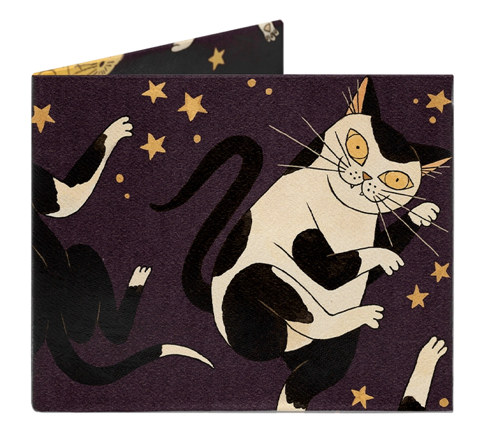 The Song of the Jellicles