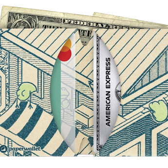 Micro Wallet Frog Hotel - Open Wallet Inside Design with cards and cash