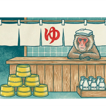 Micro Wallet Monkey Business - Open Wallet Outside Design