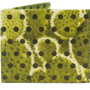 Flat Polkactus