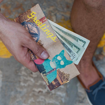 Slim Wallet Desert Cat - Open Wallet Inside Design with cards and cash