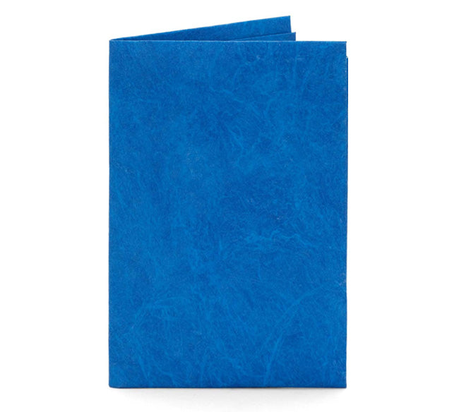 Blue Card