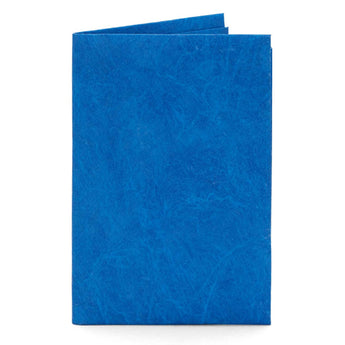 Card Blue Card
