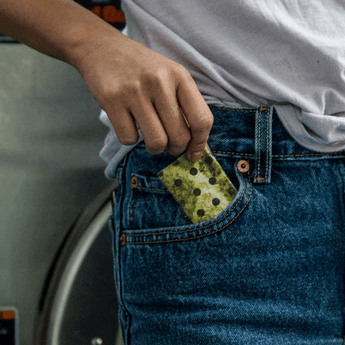 Coin Pouch Polkactus - Open Coin Pouch Inside Design