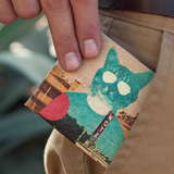 Slim Wallet Desert Cat - Lifestyle image