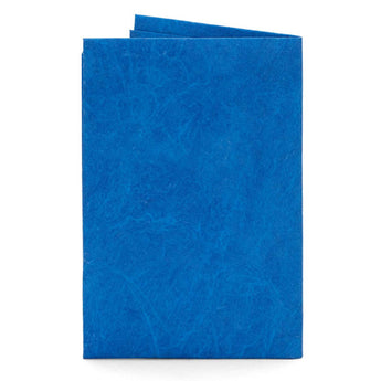 Card Blue Card