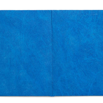 Card Blue Card