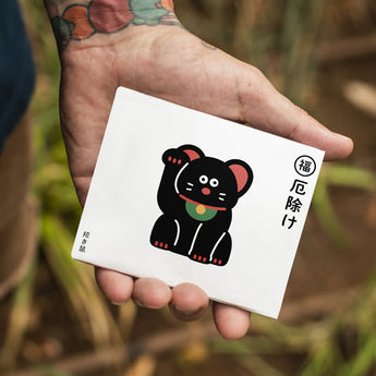 Slim Wallet Wiskers - Open Wallet Inside Design with cards and cash