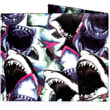 Flat Shark Feed