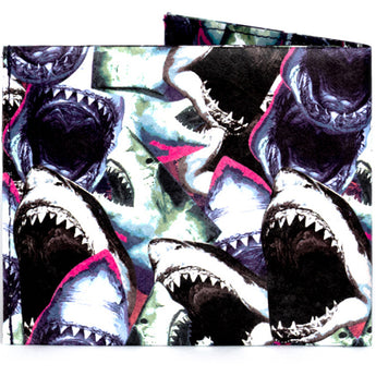 Flat Shark Feed