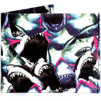Flat Shark Feed