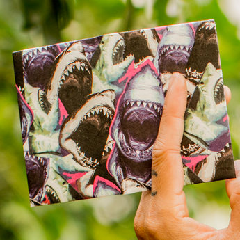 Micro Wallet Shark Feed - Open Wallet Inside Design with cards and cash
